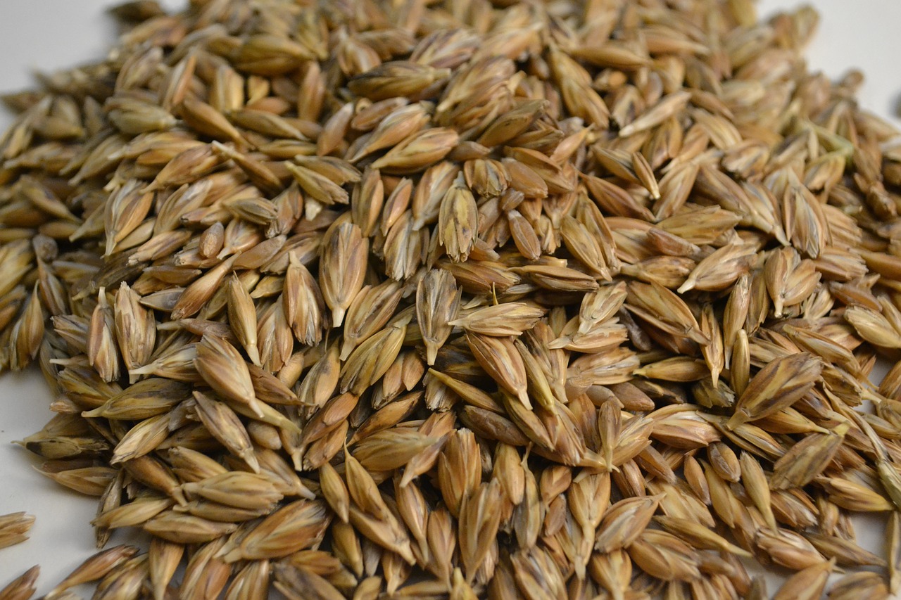 Pasta al farro con lenticchie e pomodorini