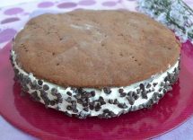 torta gelato cookies bimby