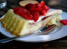 Ricetta torta con macedonia di frutta sciroppata