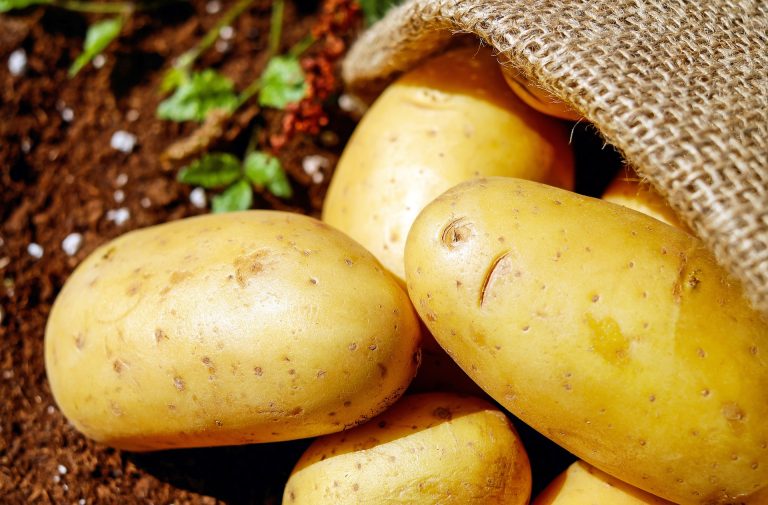 come conservare le patate senza farle germogliare