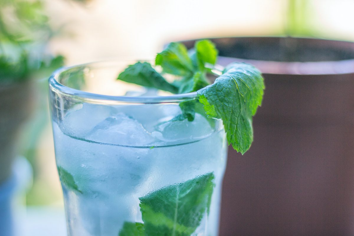 mojito al basilico ricetta