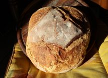 pane pugliese ricetta originale