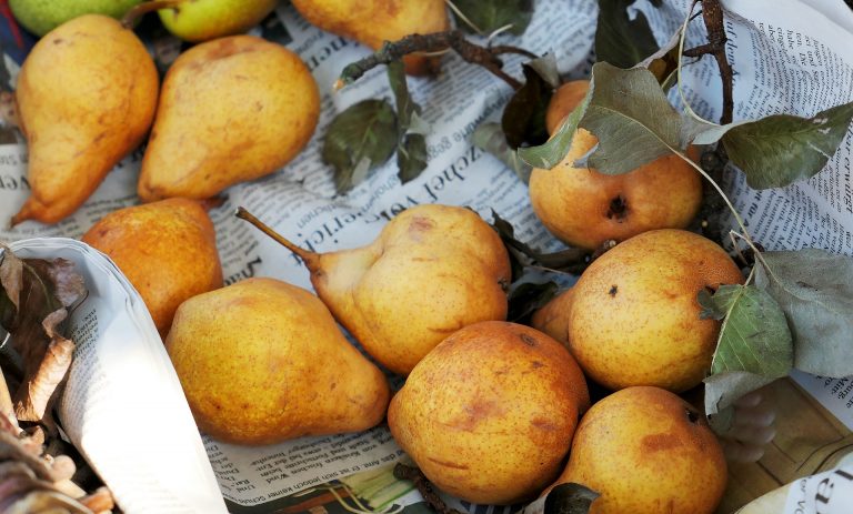 pere sciroppate ricetta della nonna