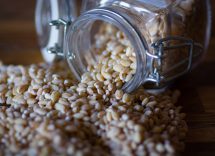 farro con crema di melanzane menta e pinoli