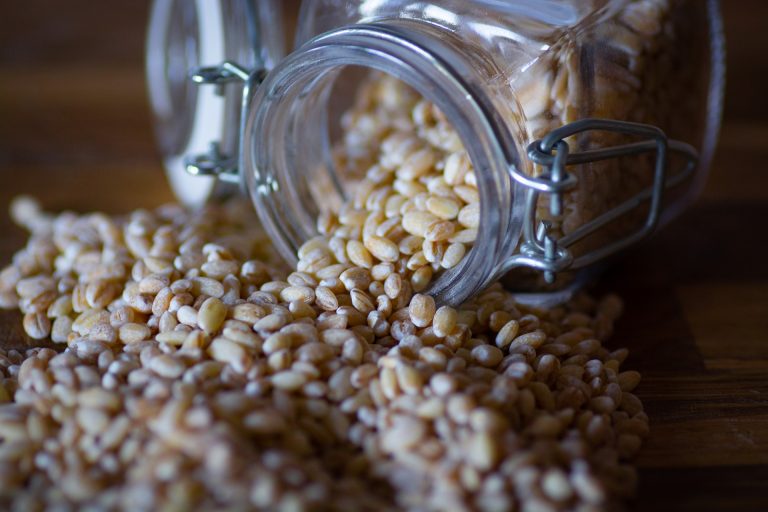 farro con crema di melanzane menta e pinoli