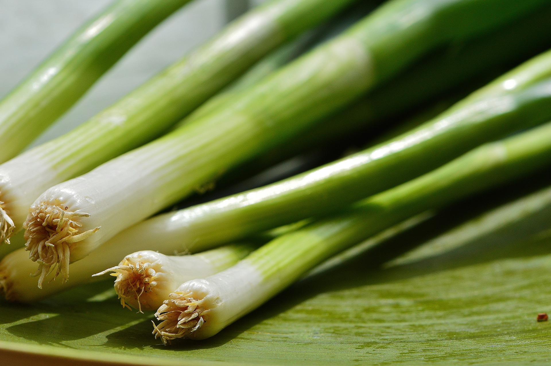 Brodo vegetale di porro