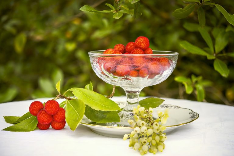 marmellata di corbezzolo bimby