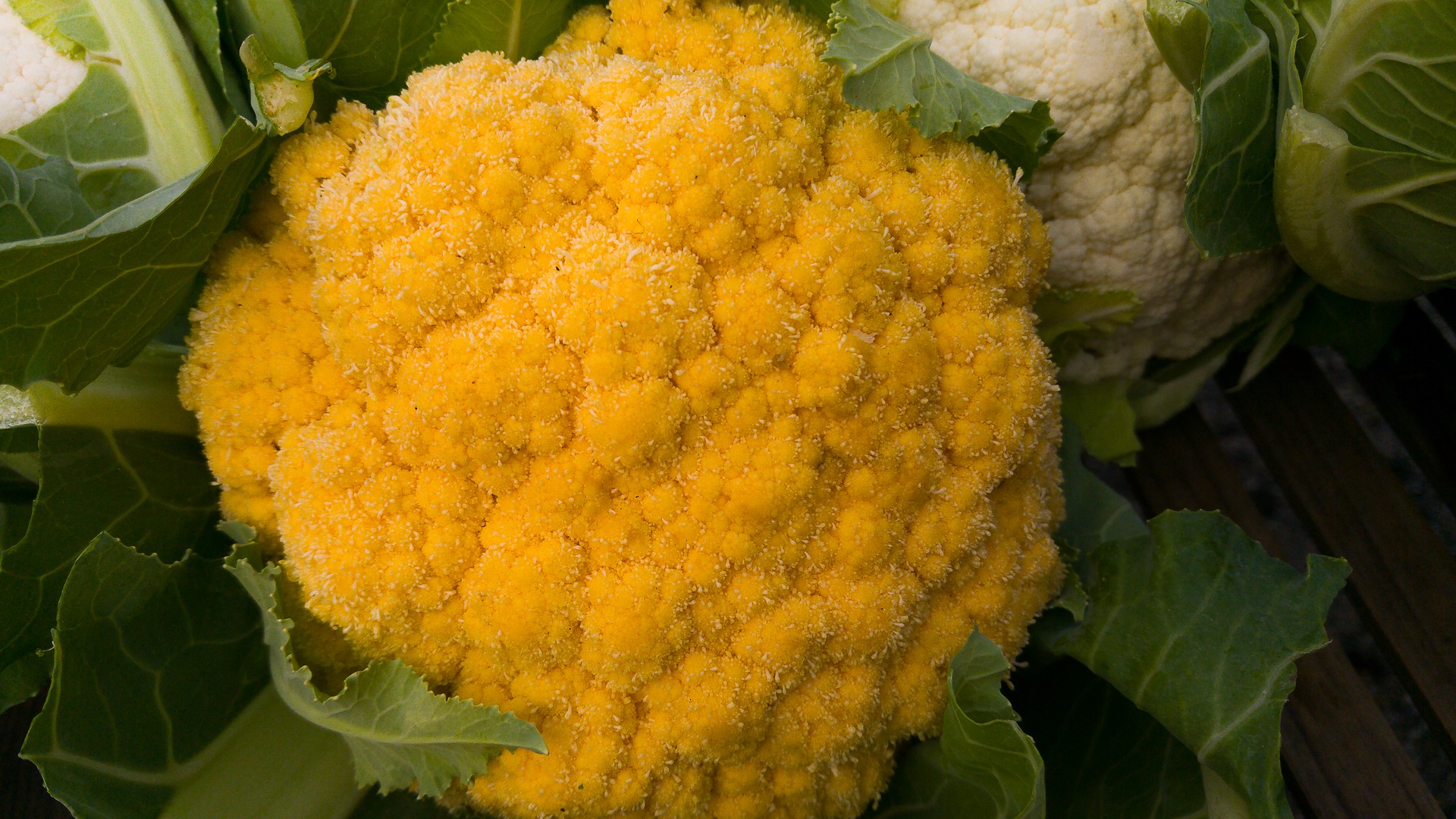 Cavolfiore intero al forno con curcuma