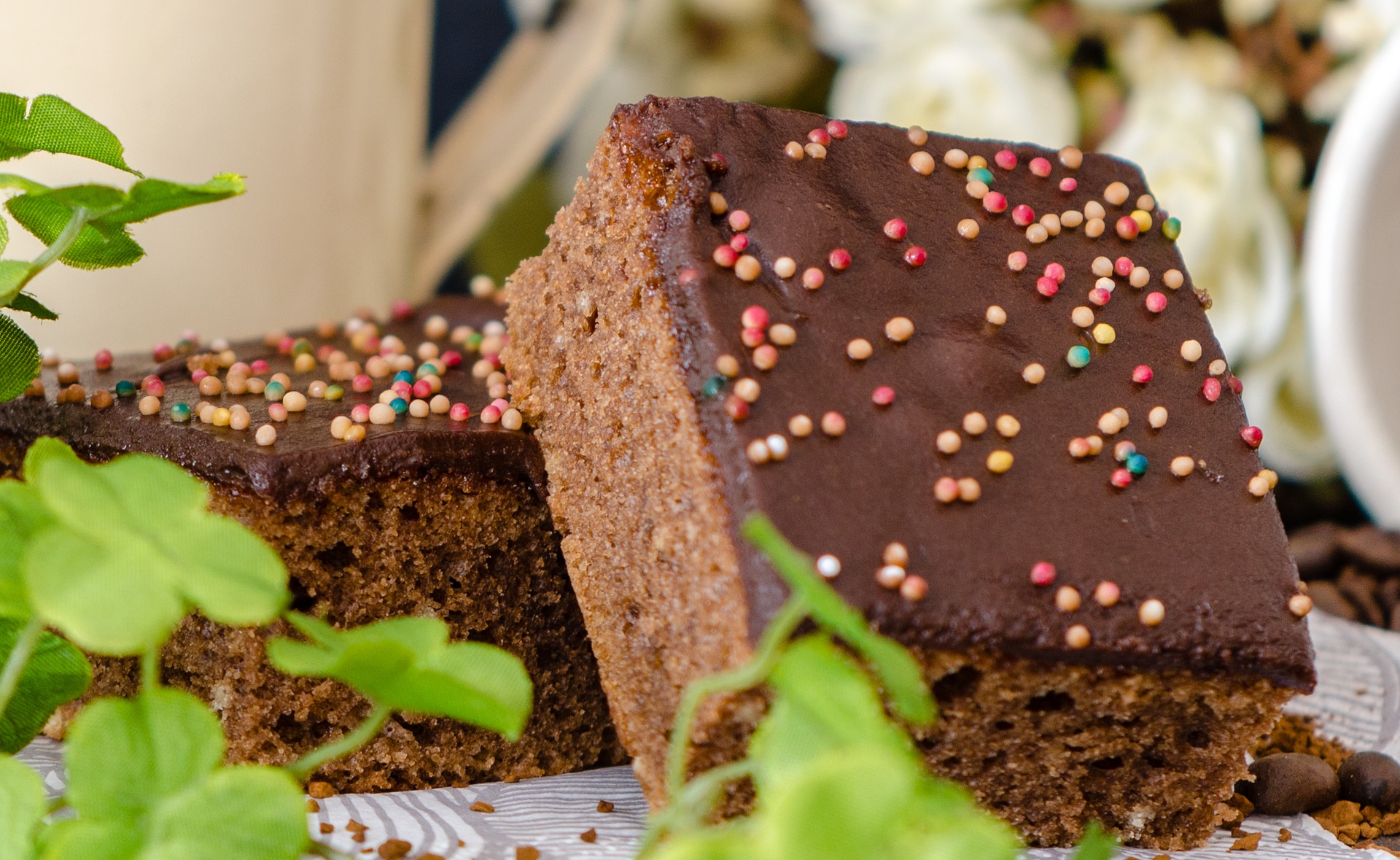 torta cioccolato cruda e cotta