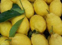 limoncini di carnevale al forno