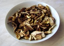 ragù di funghi porcini secchi