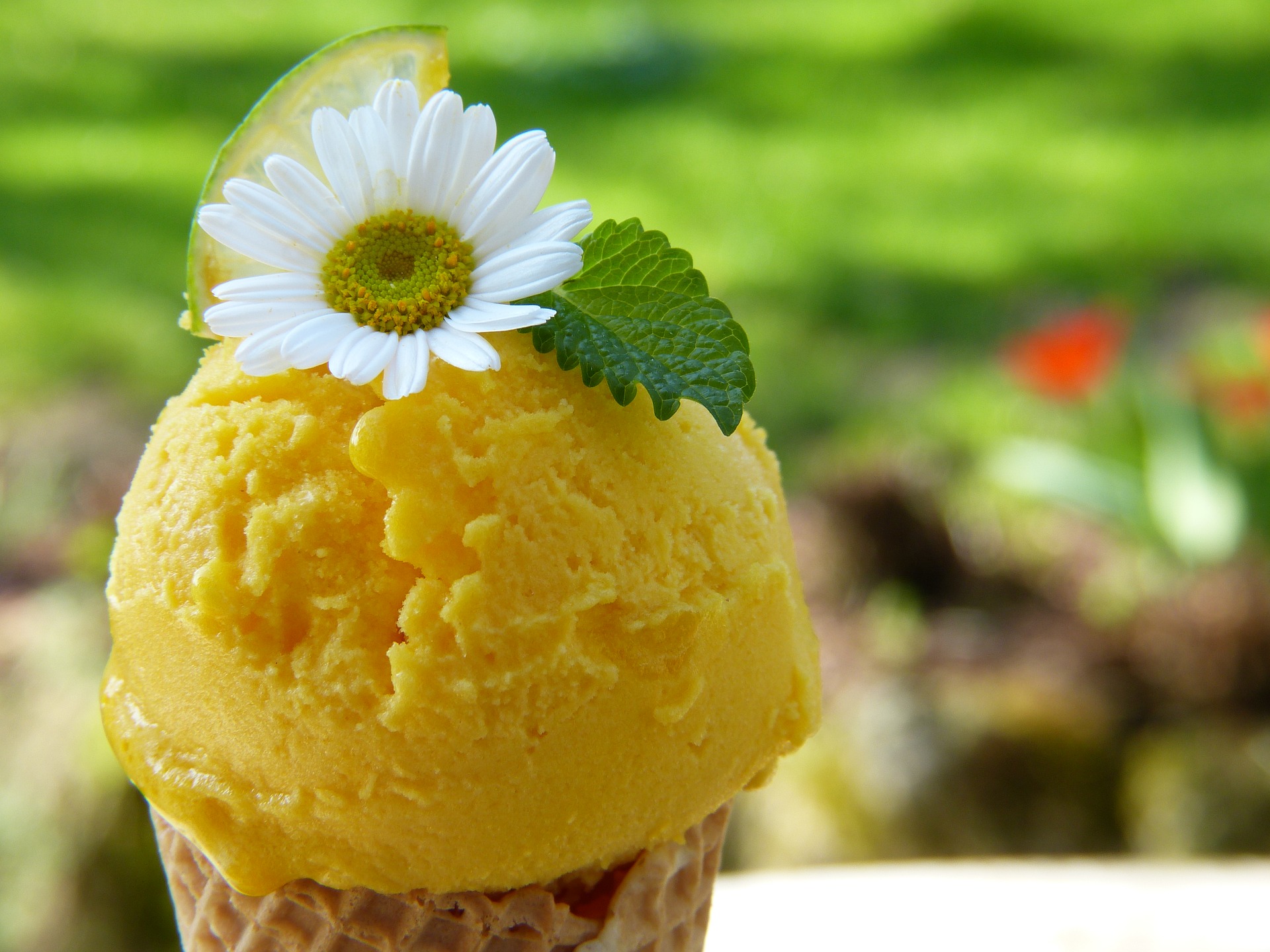 gelato al mango ricetta