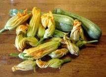 fiori di zucca al forno