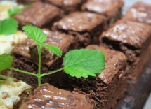 torta vegan menta cioccolato