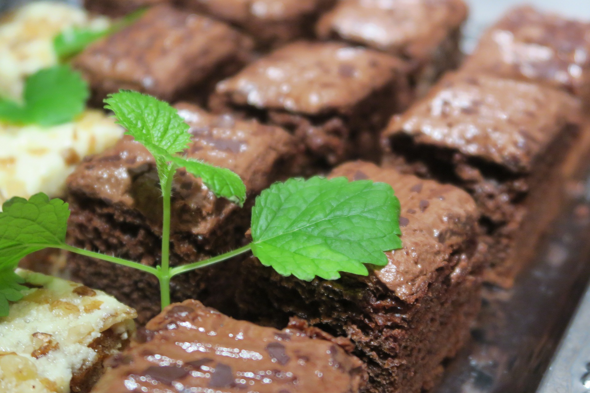 torta vegan menta cioccolato