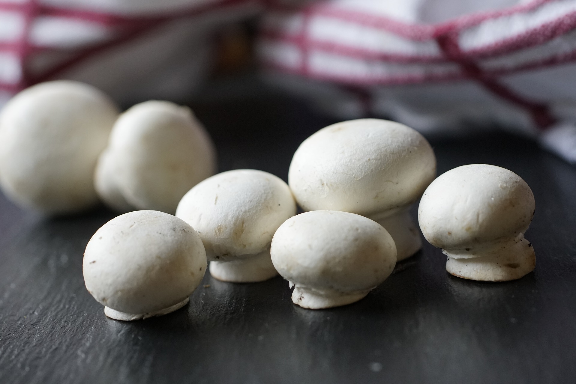 baci di champignon ricetta