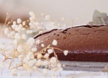 torta al cocco e cioccolato senza zucchero glutine