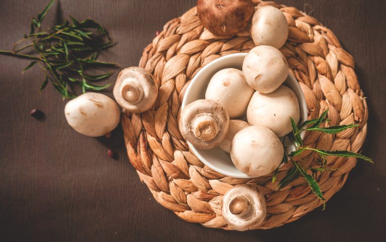 tronchetto di polenta e funghi