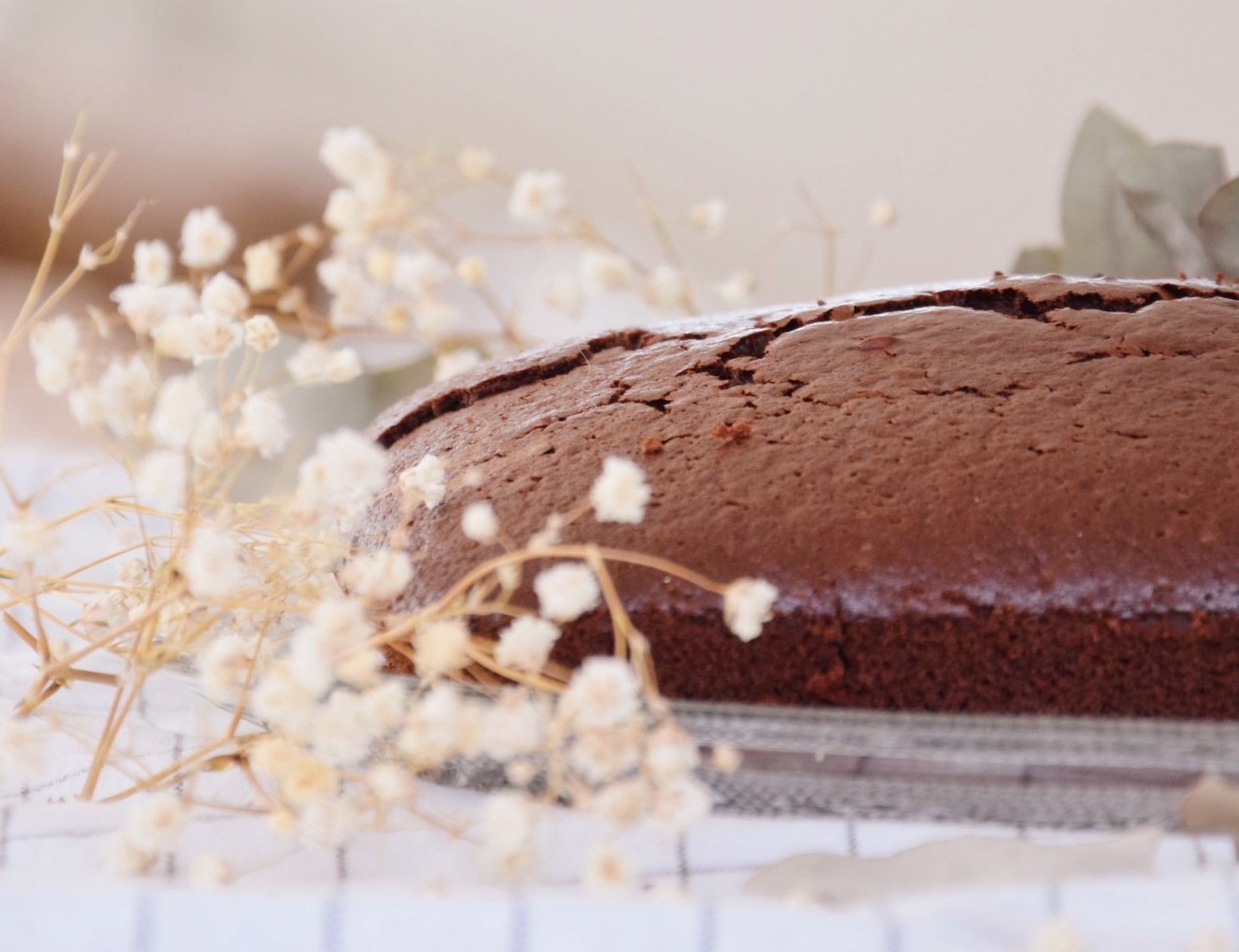 torta all'acqua al cacao