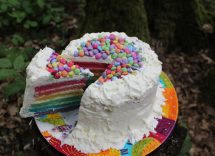 rainbow cake bimby