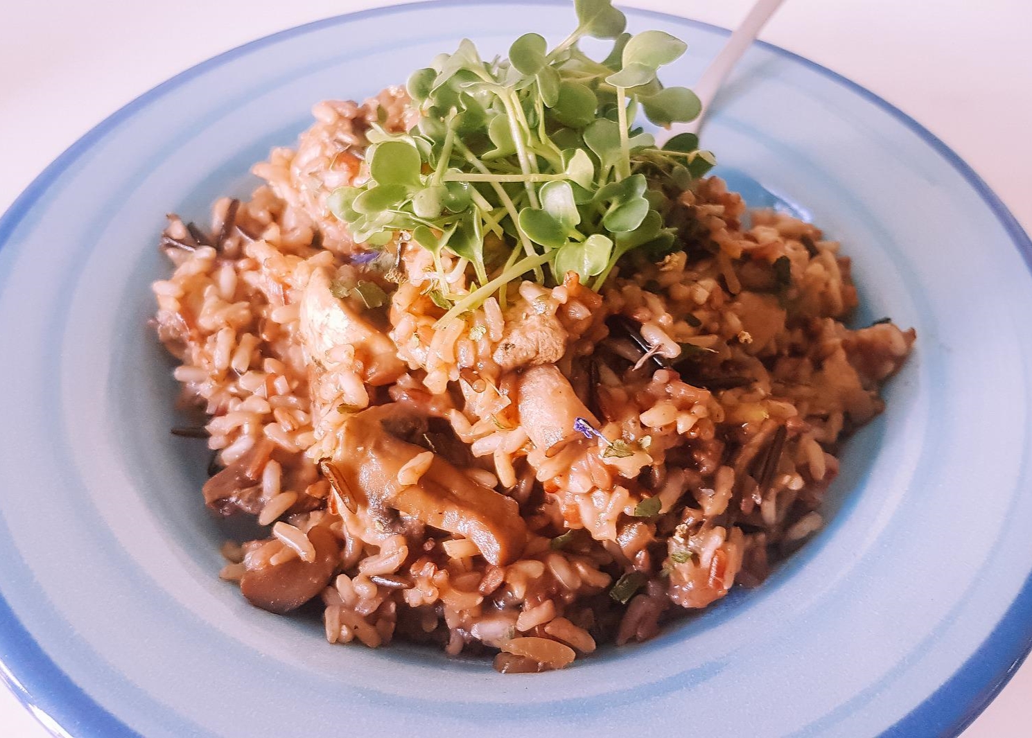 risotto al ragù di seitan