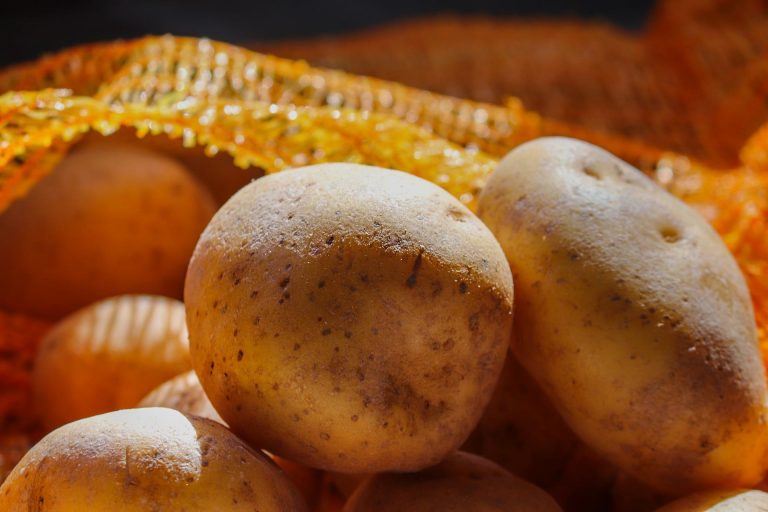 millefoglie salmone e patate ricetta gourmet