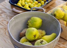 conservazione migliore mele cotogne