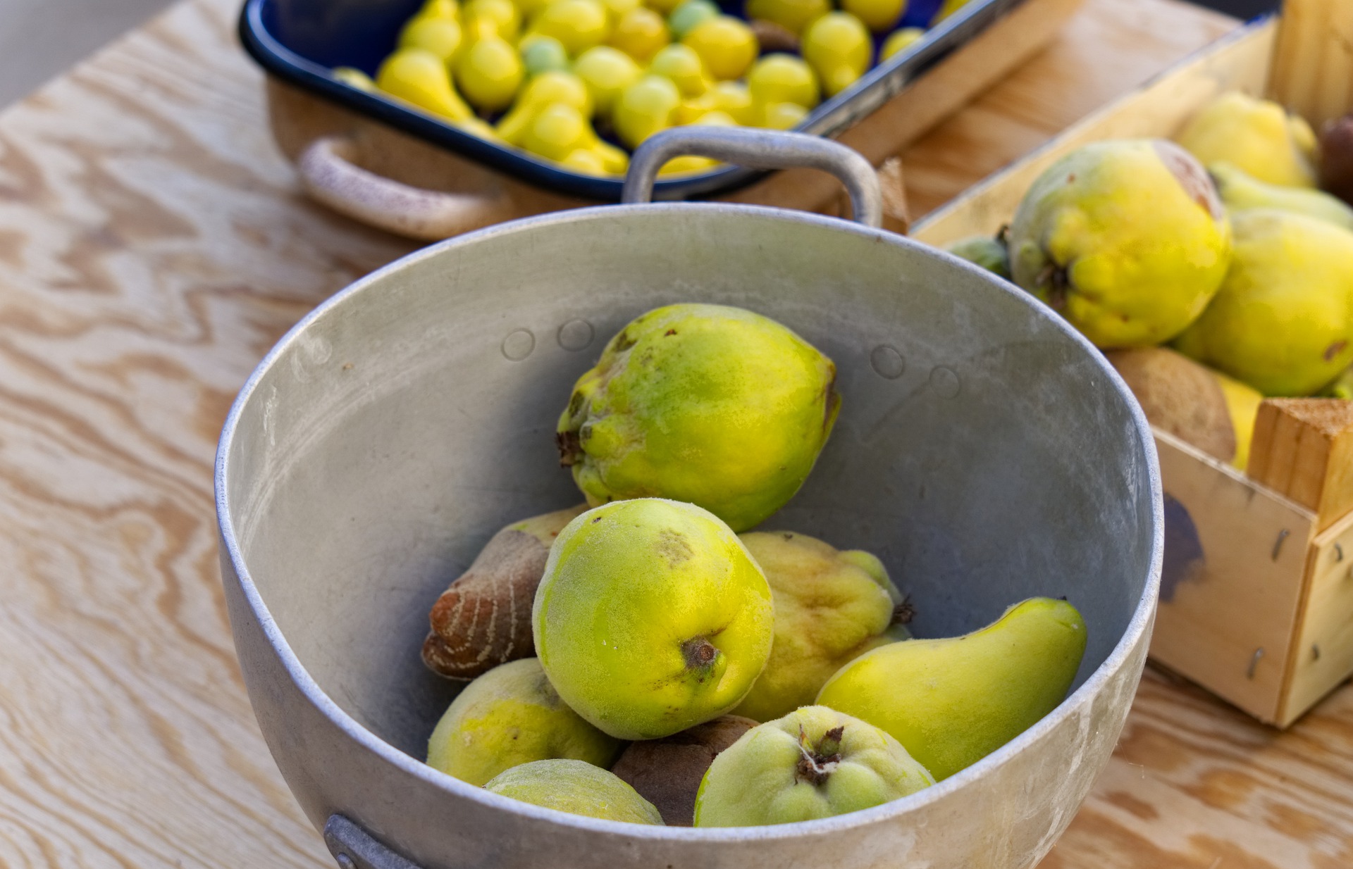 conservazione migliore mele cotogne