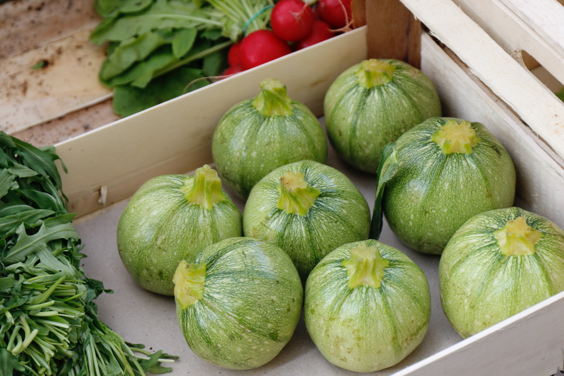 tempo conservazione zucchine