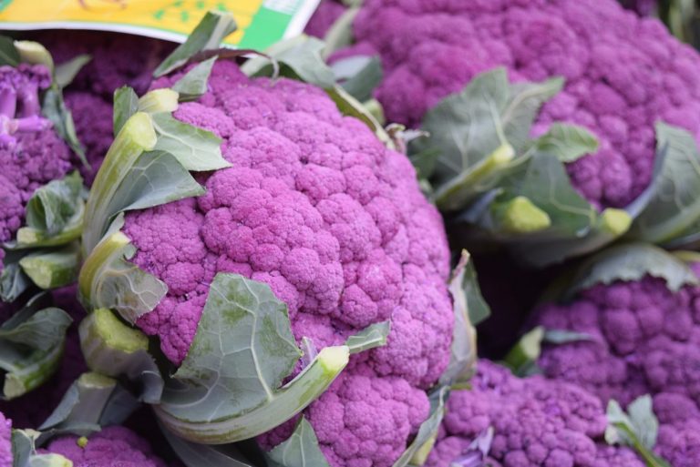 burger di cavolfiore viola ricetta light