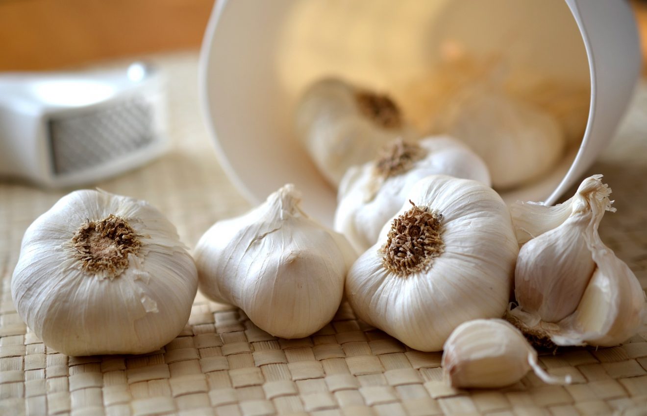 come conservare aglio per non farlo germogliare