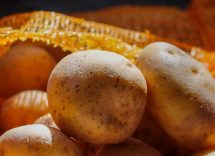 come conservare patate per non farle germogliare