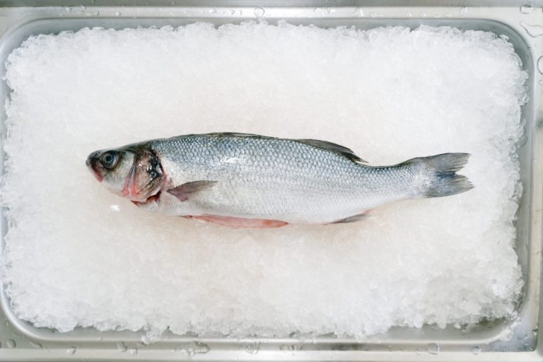 conservare branzino in frigo