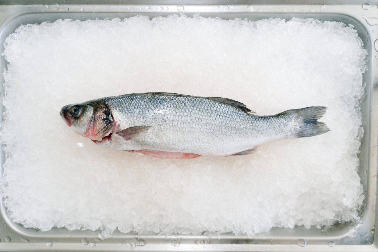 conservare branzino in frigo