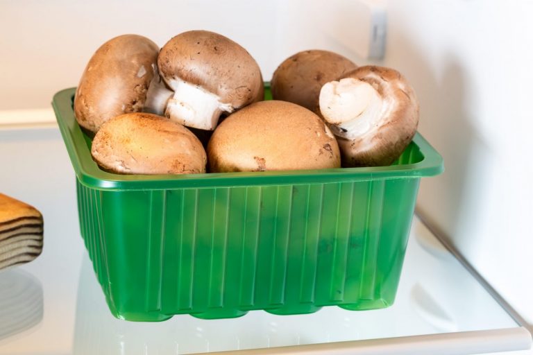 conservare funghi freschi in frigo