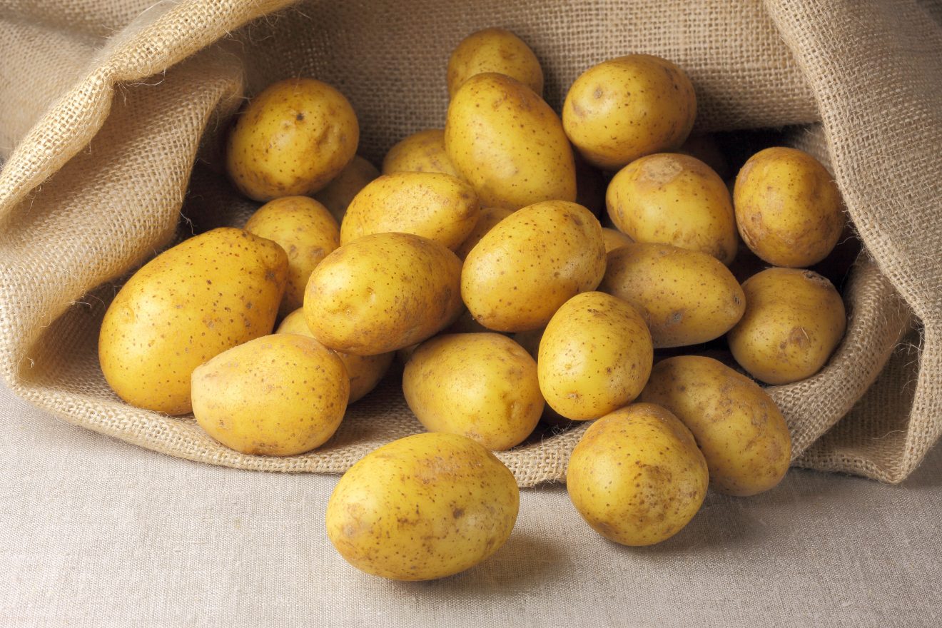 patate crude come conservarle