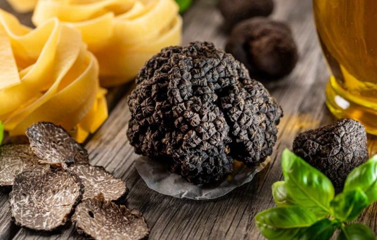 tartufi italiani 1