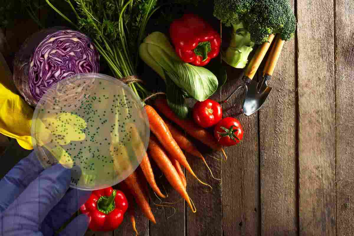 Attenzione a queste 5 verdure, rischi grosso se le mangi spesso, ecco di che si tratta
